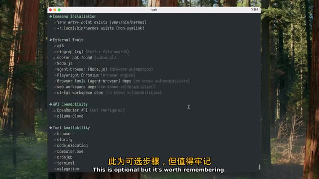 doctor 命令帮助定位环境问题
