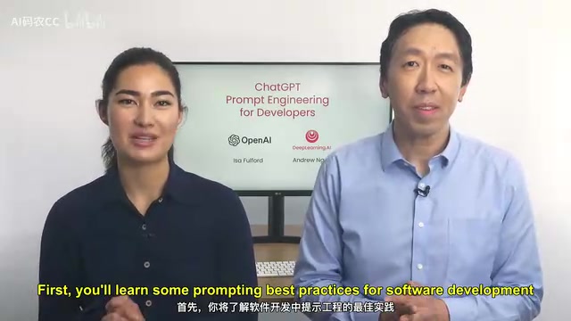 吴恩达提示词工程课:开发者如何用API调用大模型