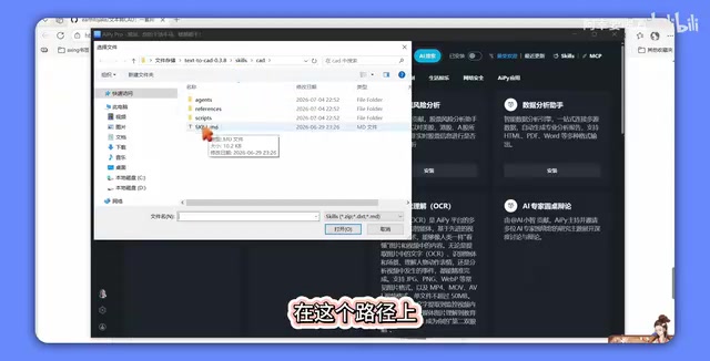 Skill插件入口界面示意