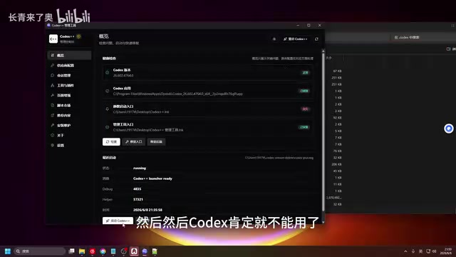 删除配置文件后Codex无法使用