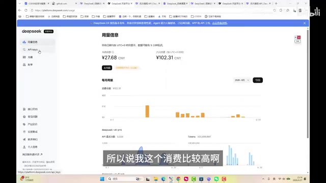 DeepSeek 消费情况参考