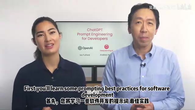 吴恩达提示词工程课精华:开发者必学的核心方法论