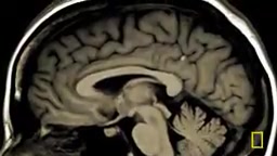 Three Millennia of Ancient Medicine: Mercury Immortality, the Anatomy Revolution, and the Deadly Price of the Black Death