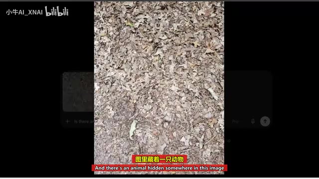 隐藏动物识别测试