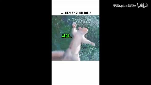工具界面展示