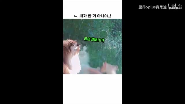 实测总结画面