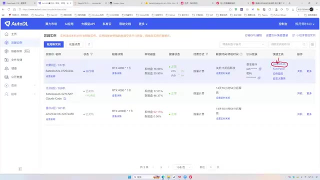 进入Jupyter Lab工作环境