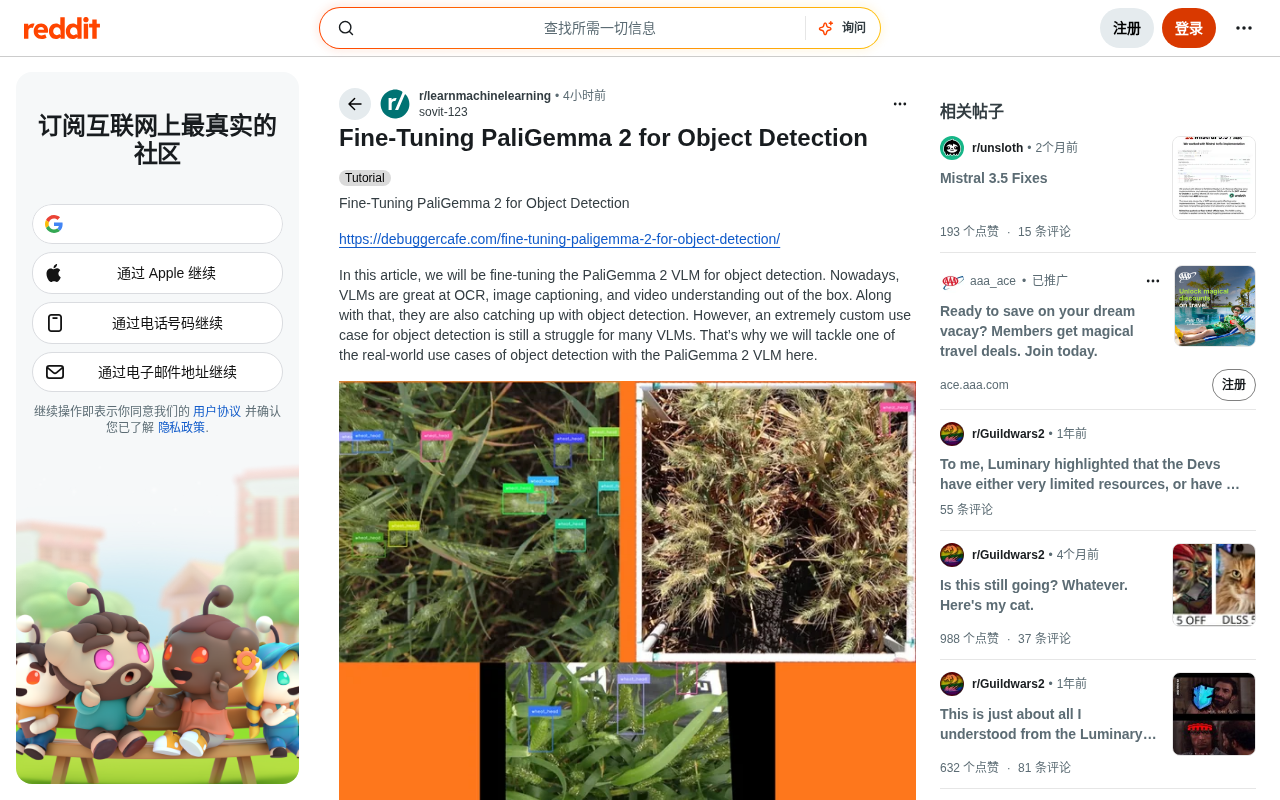 微调PaliGemma 2实现自定义目标检测:从通用到专用的实践指南