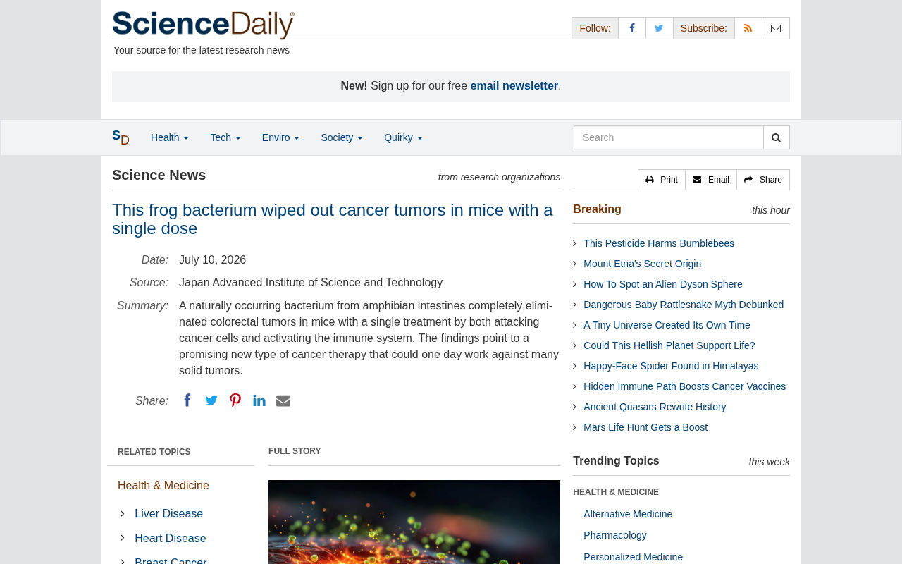 Frog Bacteria Cures Mouse Tumors in a Single Dose: A New Breakthrough in Bacterial Cancer Immunotherapy