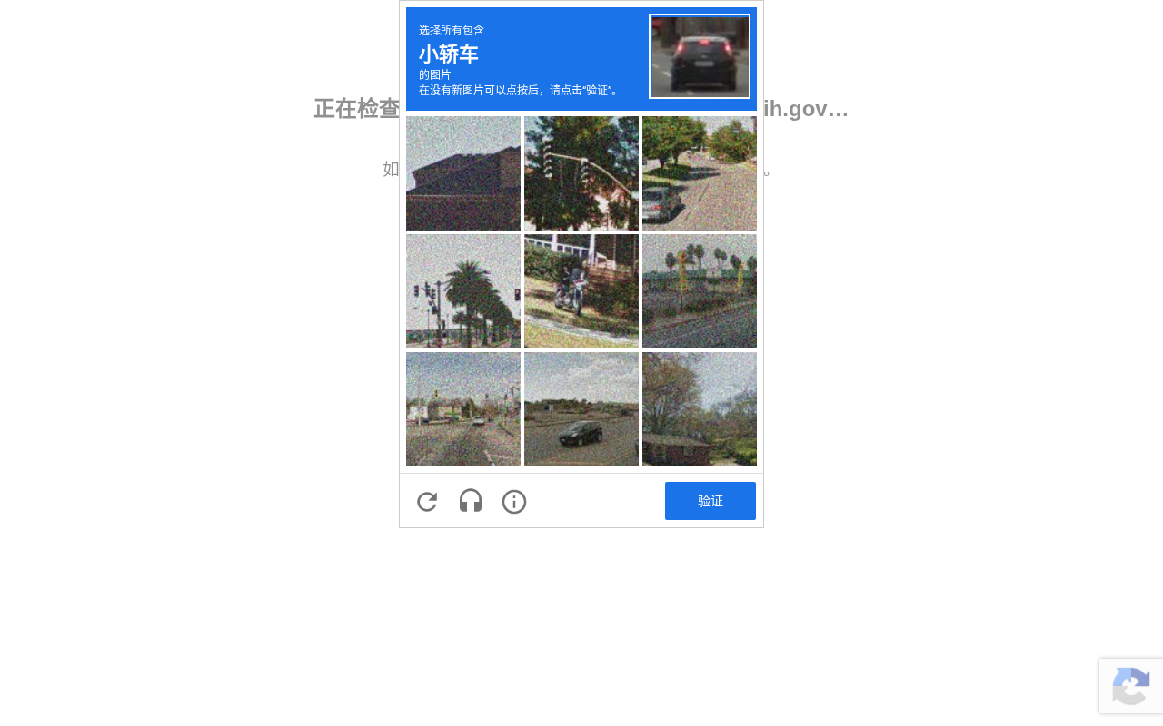 雌激素如何雄性化大脑:性别行为背后的反直觉分子机制