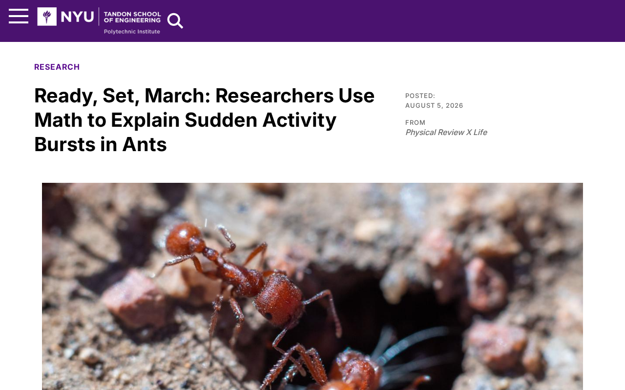 hackernews source: Ready set march: Researchers use math to explain sudden activity bursts in ants