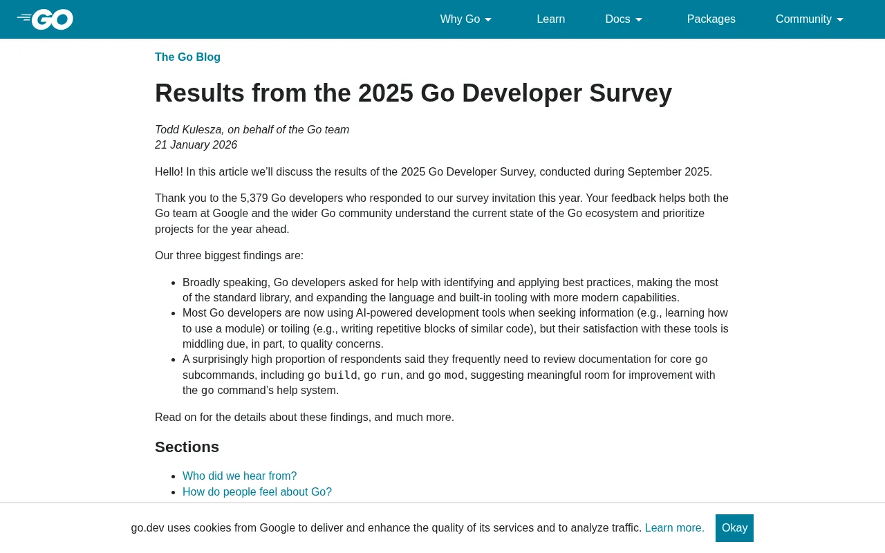 2025 Go Developer Survey Results: A Deep Dive into Satisfaction, Use Cases, and Challenges