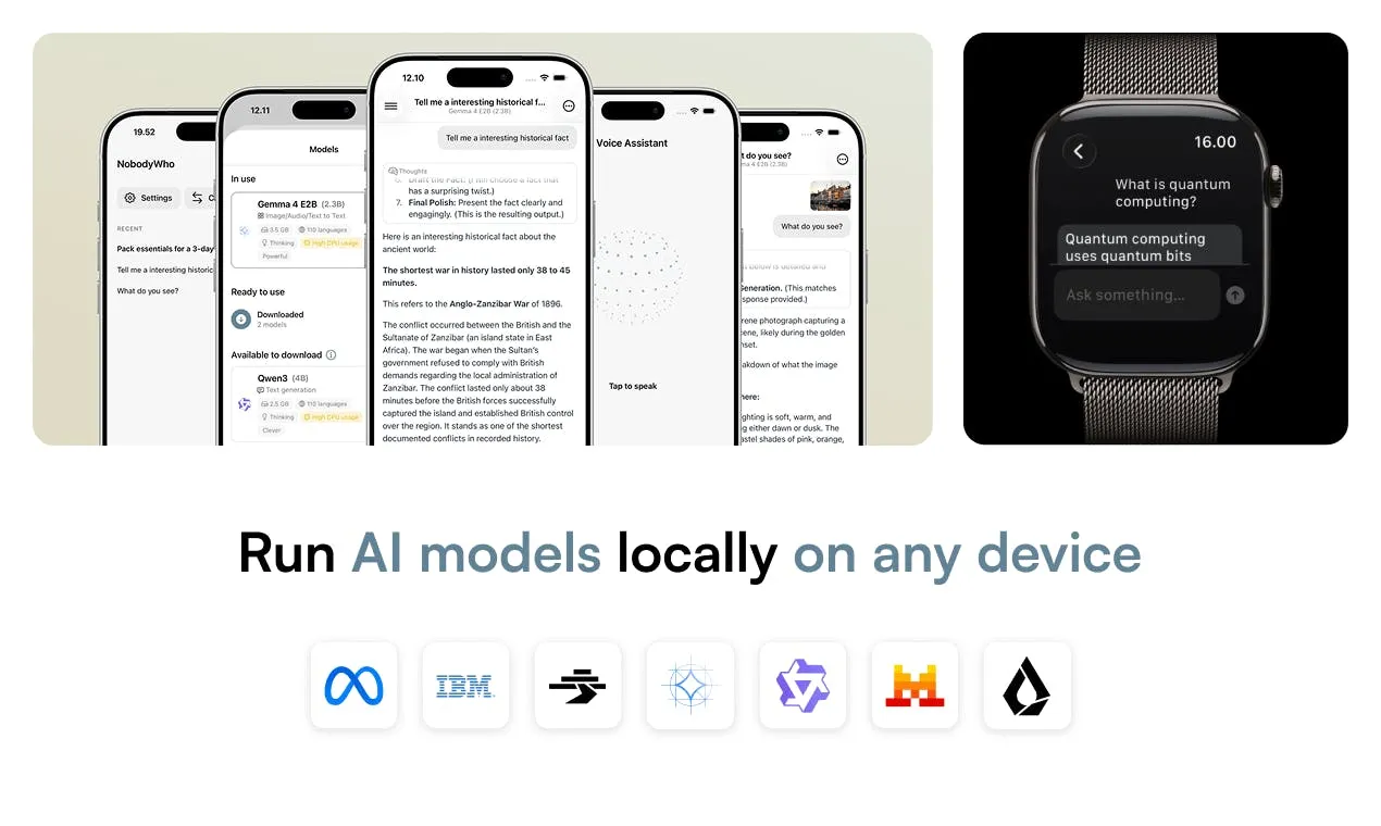 NobodyWho Open-Source Inference Engine: A Multi-Platform SDK for Running LLMs Locally