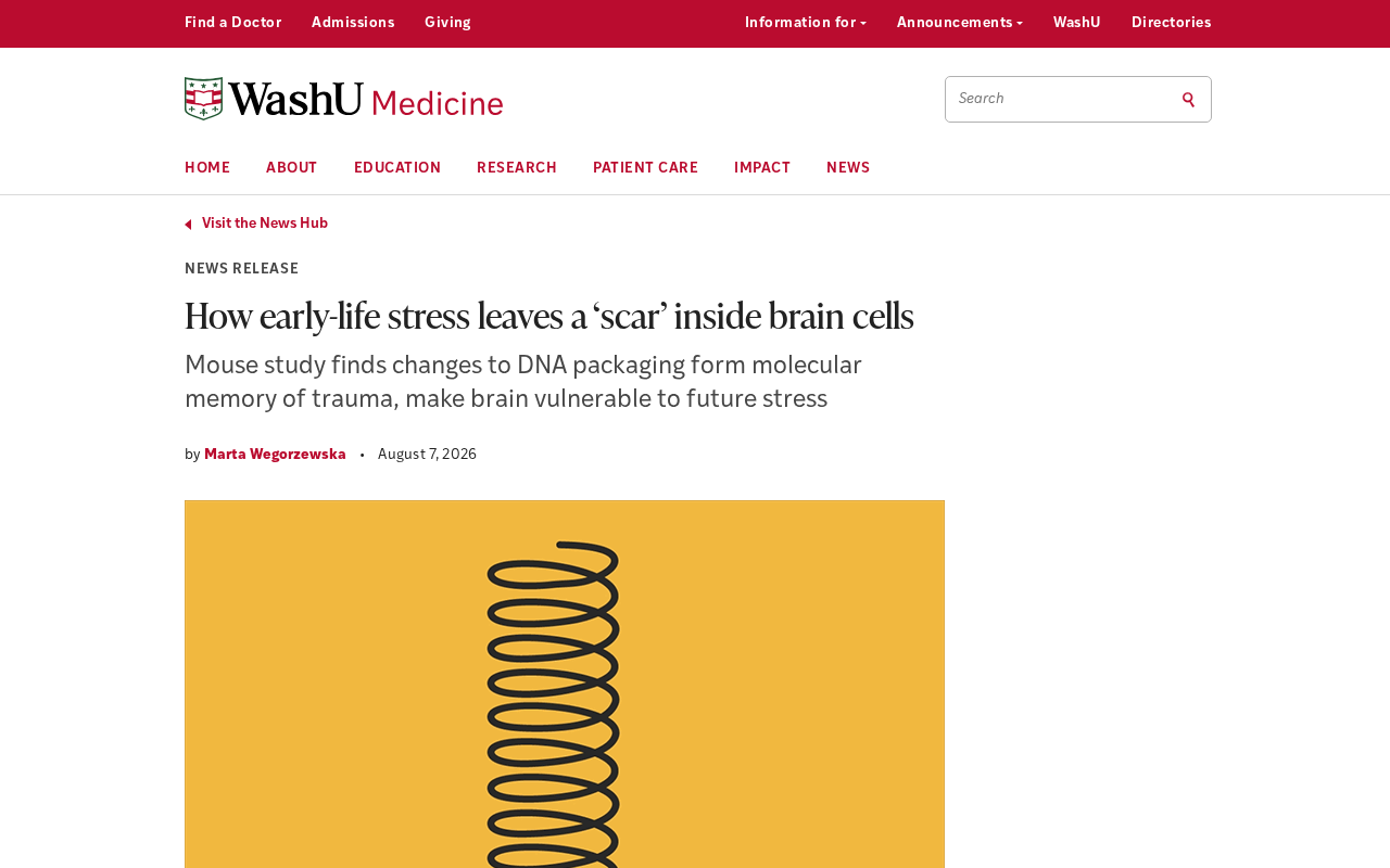 How Early-Life Stress Leaves "Scars" Inside Brain Cells: New Findings in Epigenetics