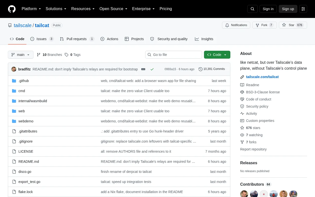 Tailcat: An Open-Source Tool for Using netcat Over Tailscale Networks