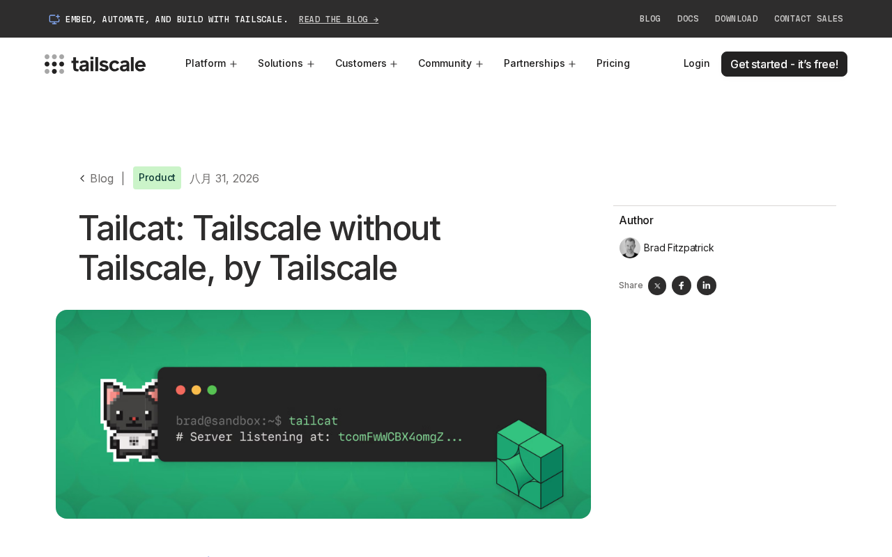 Tailcat:Tailscale官方推出的去中心化极简组网方案