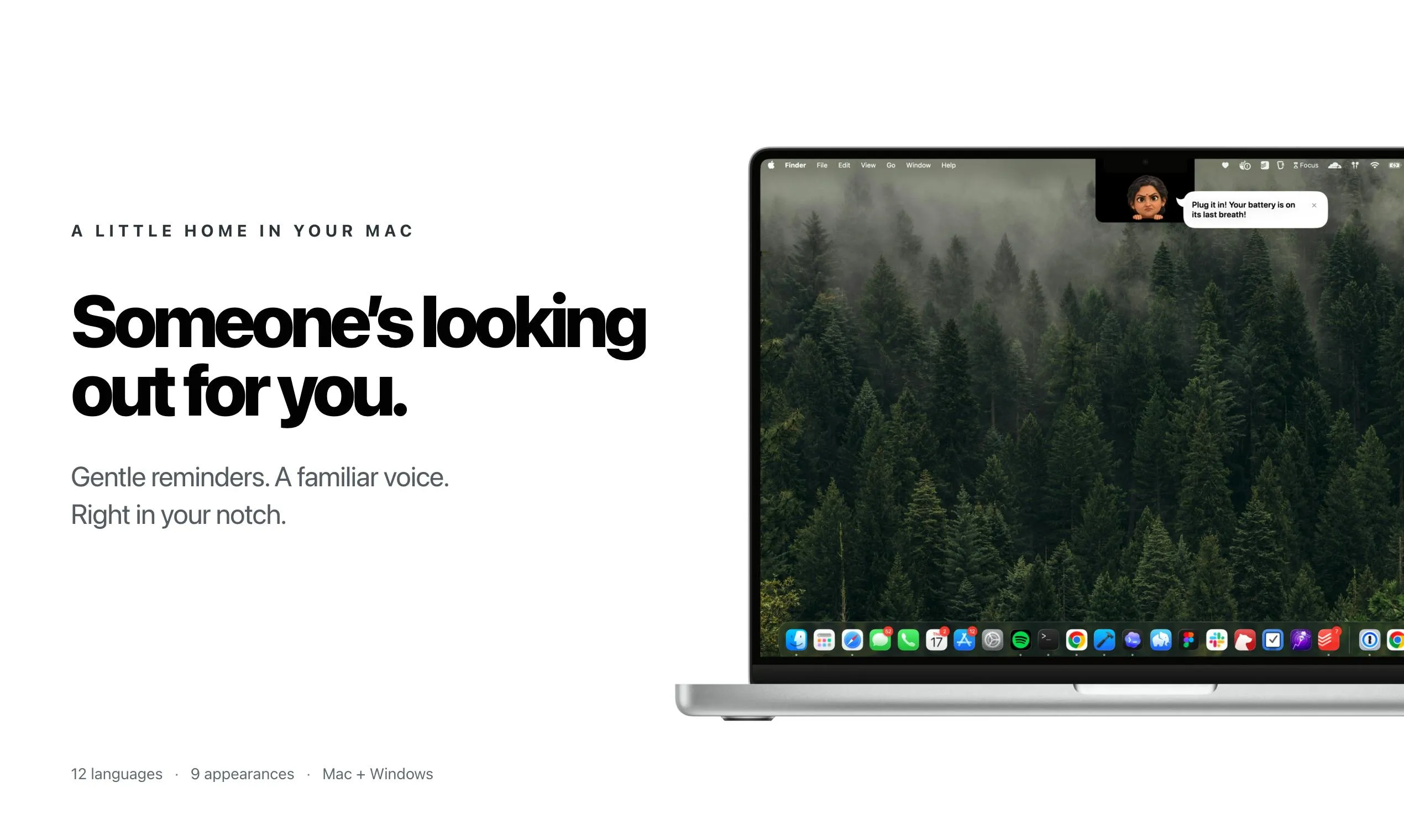 Maaa product screenshot