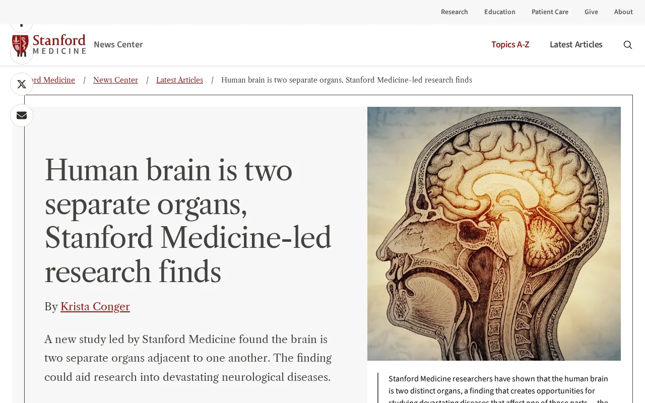 rss source: Human brain is two separate organs, Stanford Medicine-led research finds