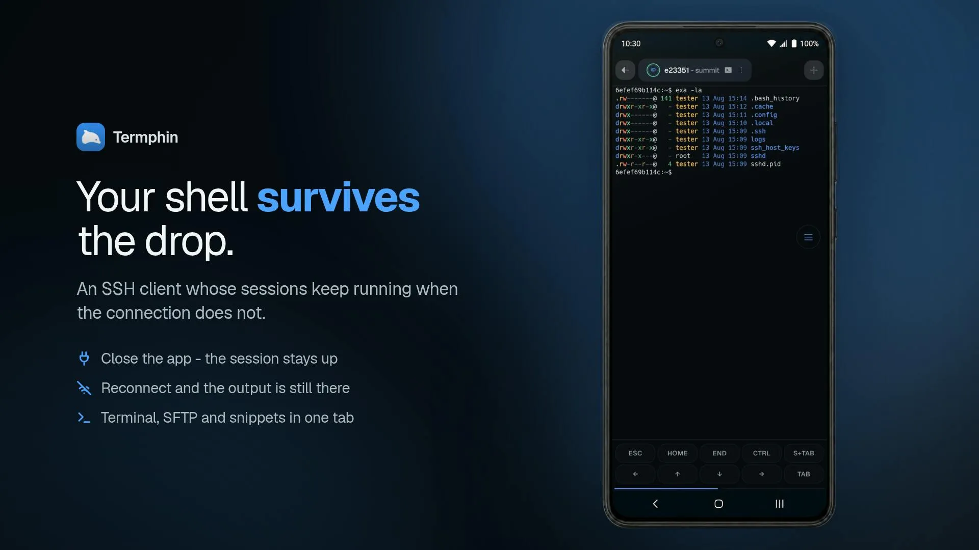 Termphin Review: An SSH Client Where Sessions Never Drop