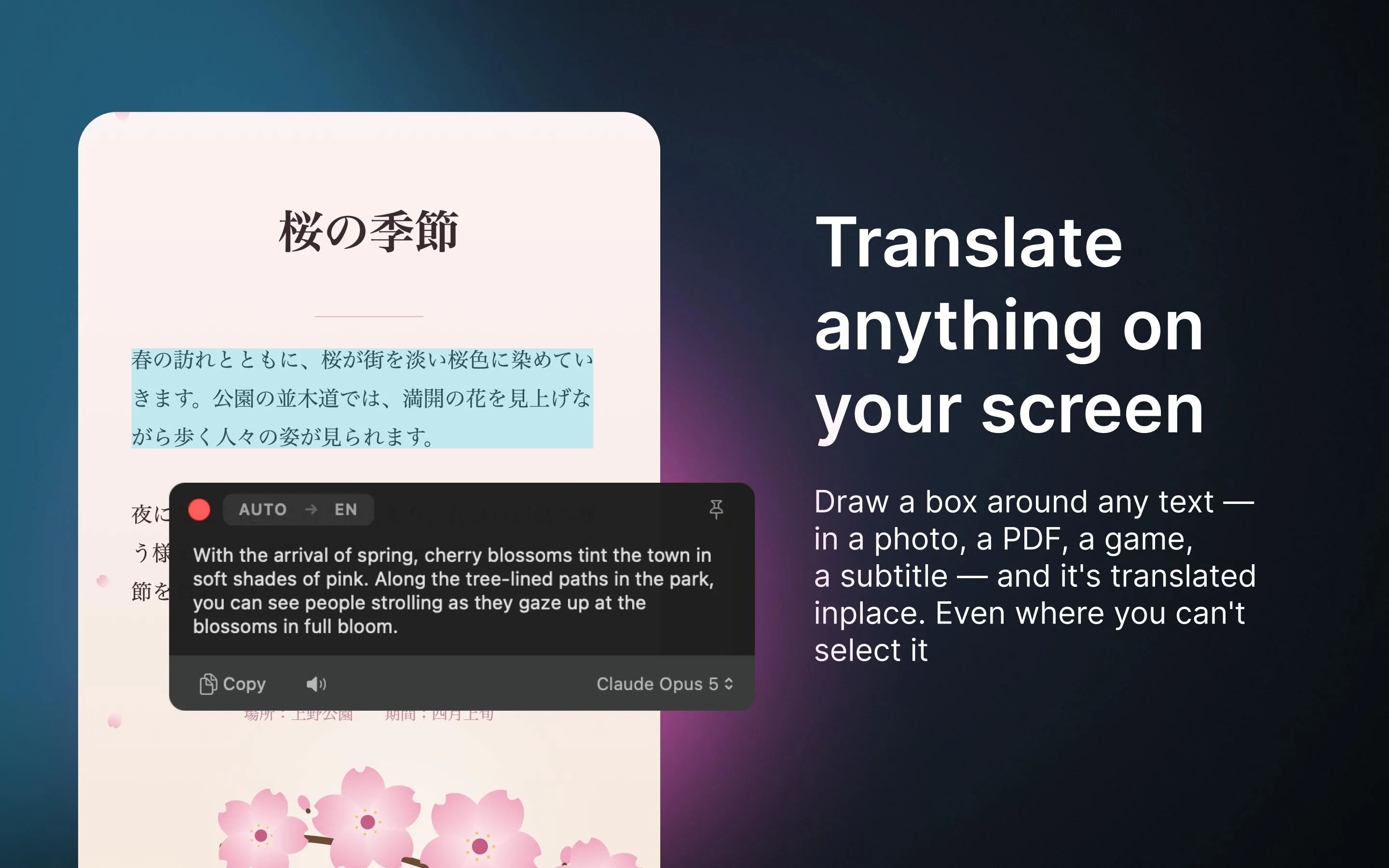 Awnsy offline AI translation tool