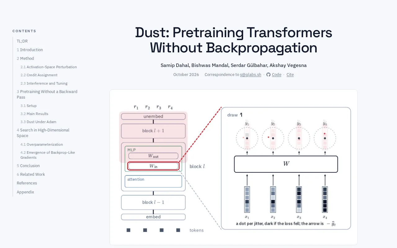 Dust项目探索:不用反向传播预训练Transformer