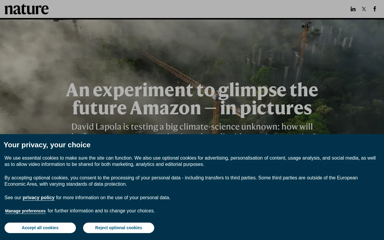 The AmazonFACE Experiment: A Window Into the Future of the Amazon Rainforest