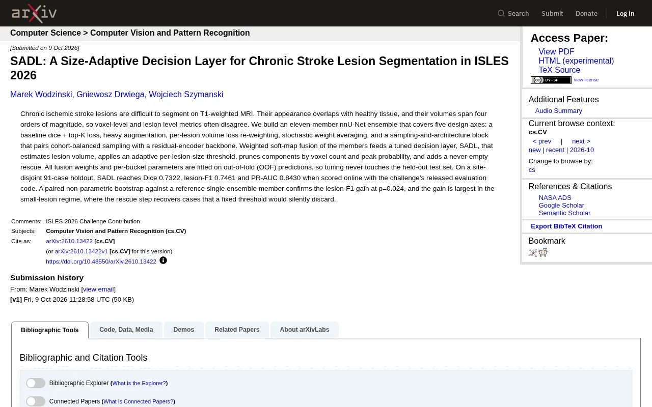 SADL: A Size-Adaptive Decision Layer for Chronic Stroke Lesion Segmentation