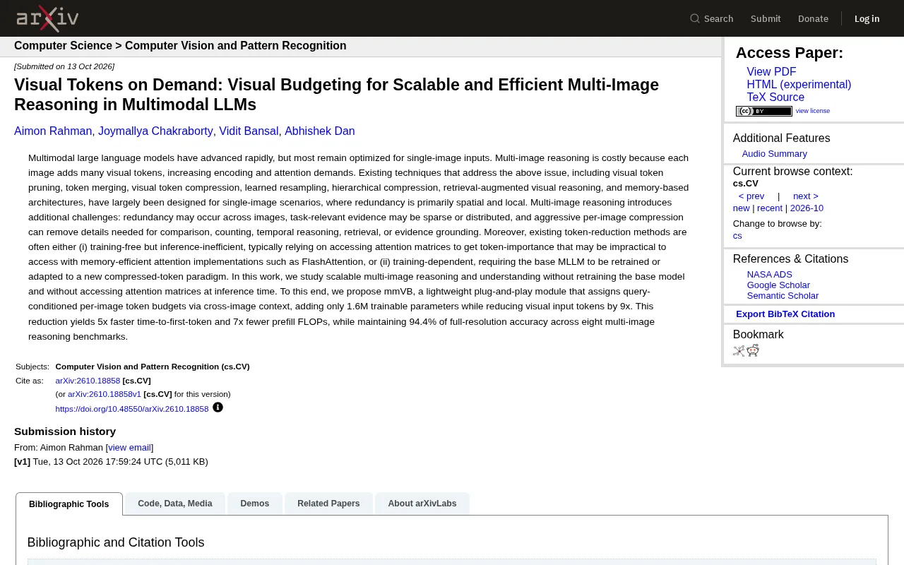 Illustration of visual token allocation in multi-image inference