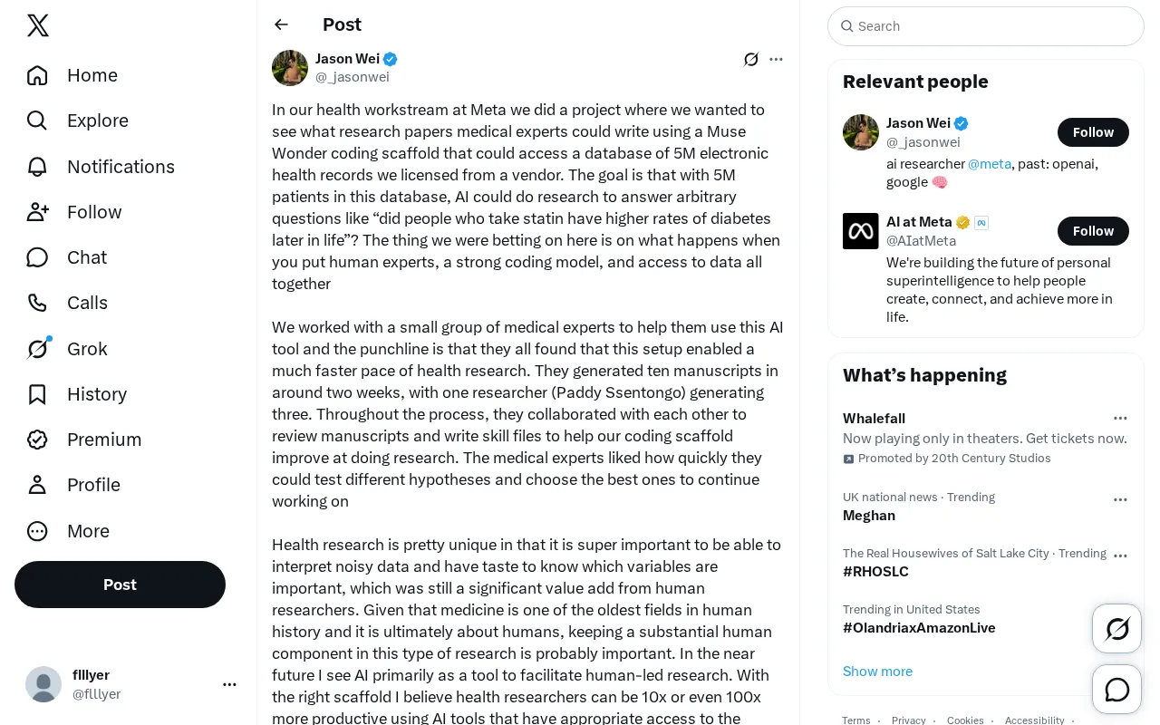 Screenshot of the Meta health research workflow project
