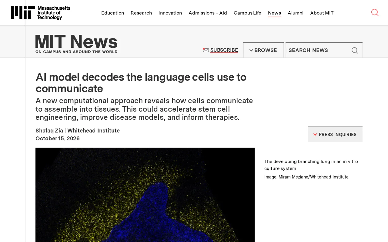 AI Model Cracks the Language of Cell Communication: Decoding the Key to Tissue Formation