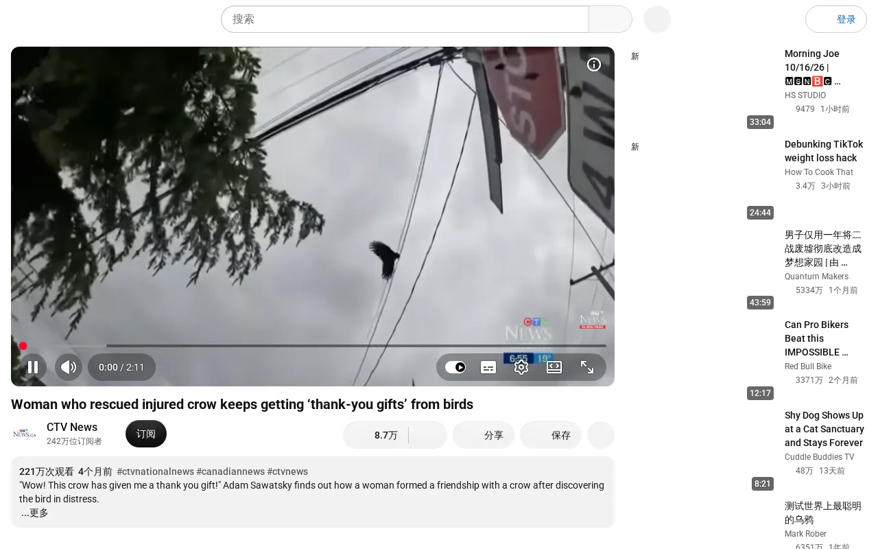 Woman keeps receiving gifts from birds after rescuing an injured crow