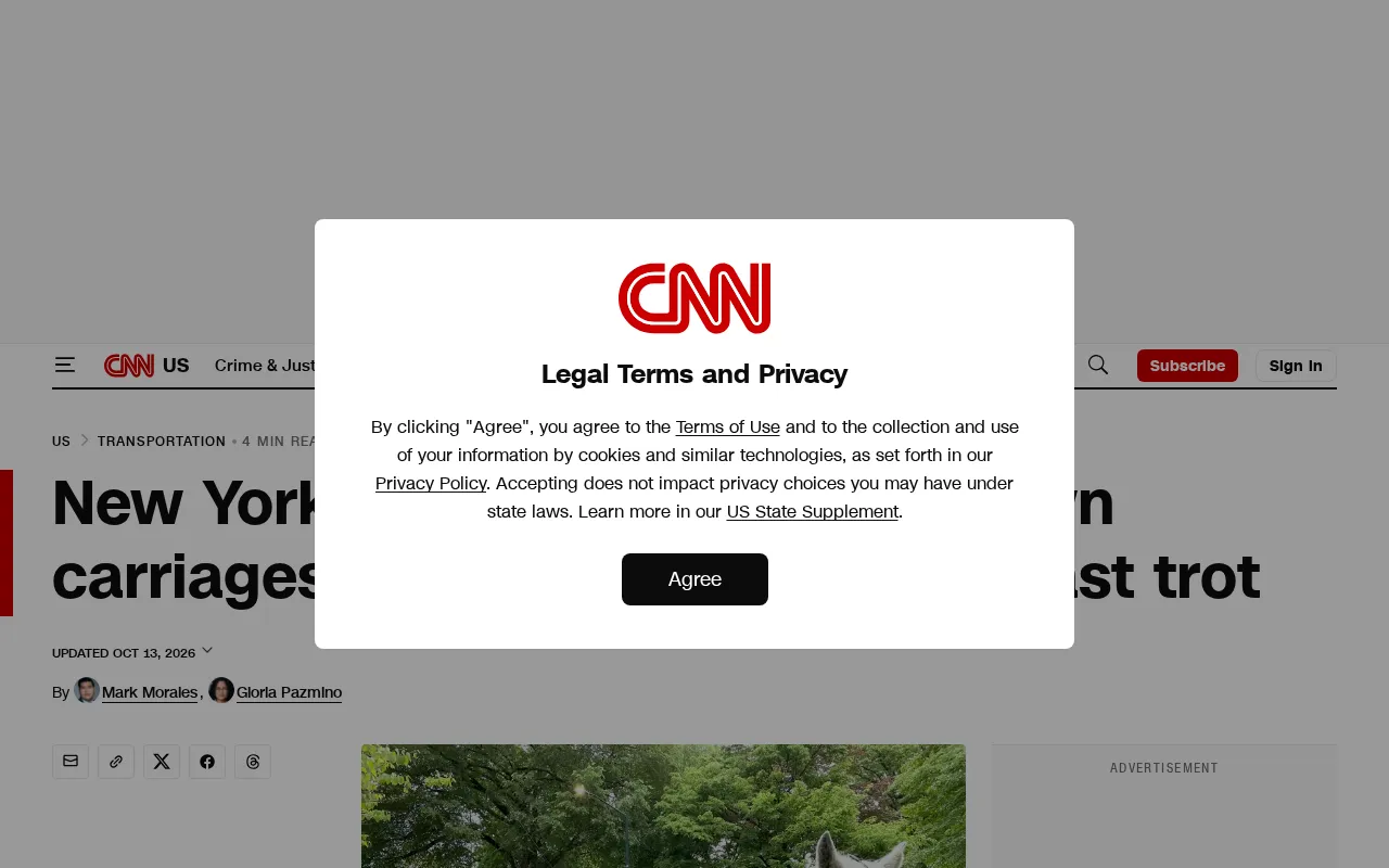 Screenshot of news source on New York's horse-drawn carriages taking their final bow