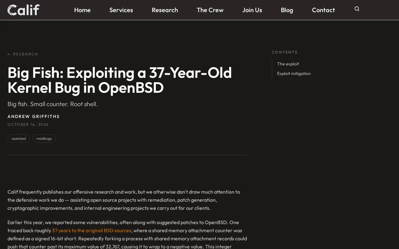 A 37-Year-Old OpenBSD Kernel Vulnerability Has Been Successfully Exploited
