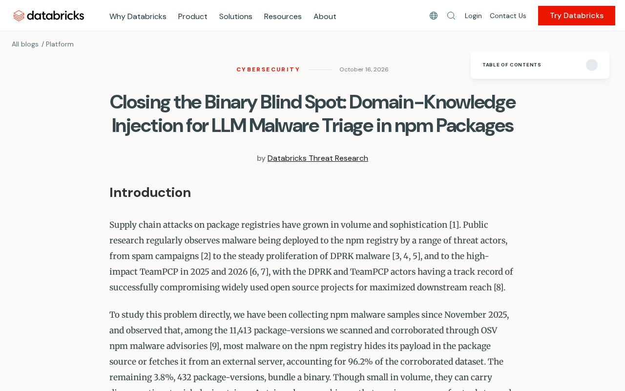 Closing the Binary Blind Spot: Domain-Knowledge Injection Improves LLM Detection of Malicious npm Packages
