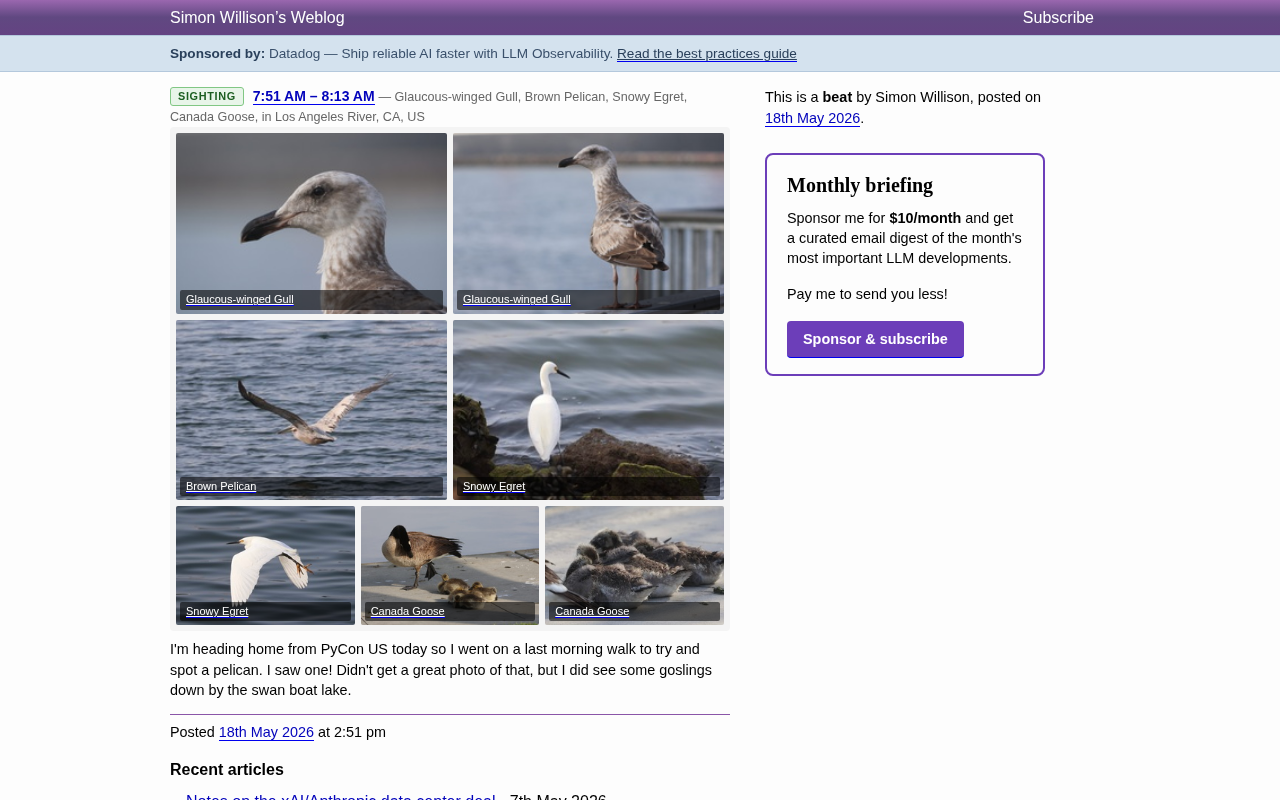 iNaturalist AI Species Identification in Practice: A PyCon Developer's Birdwatching Record on the Los Angeles River