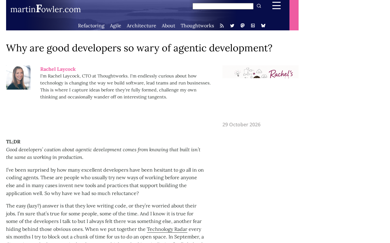 Why Do Excellent Developers Remain Wary of Agentic Development?